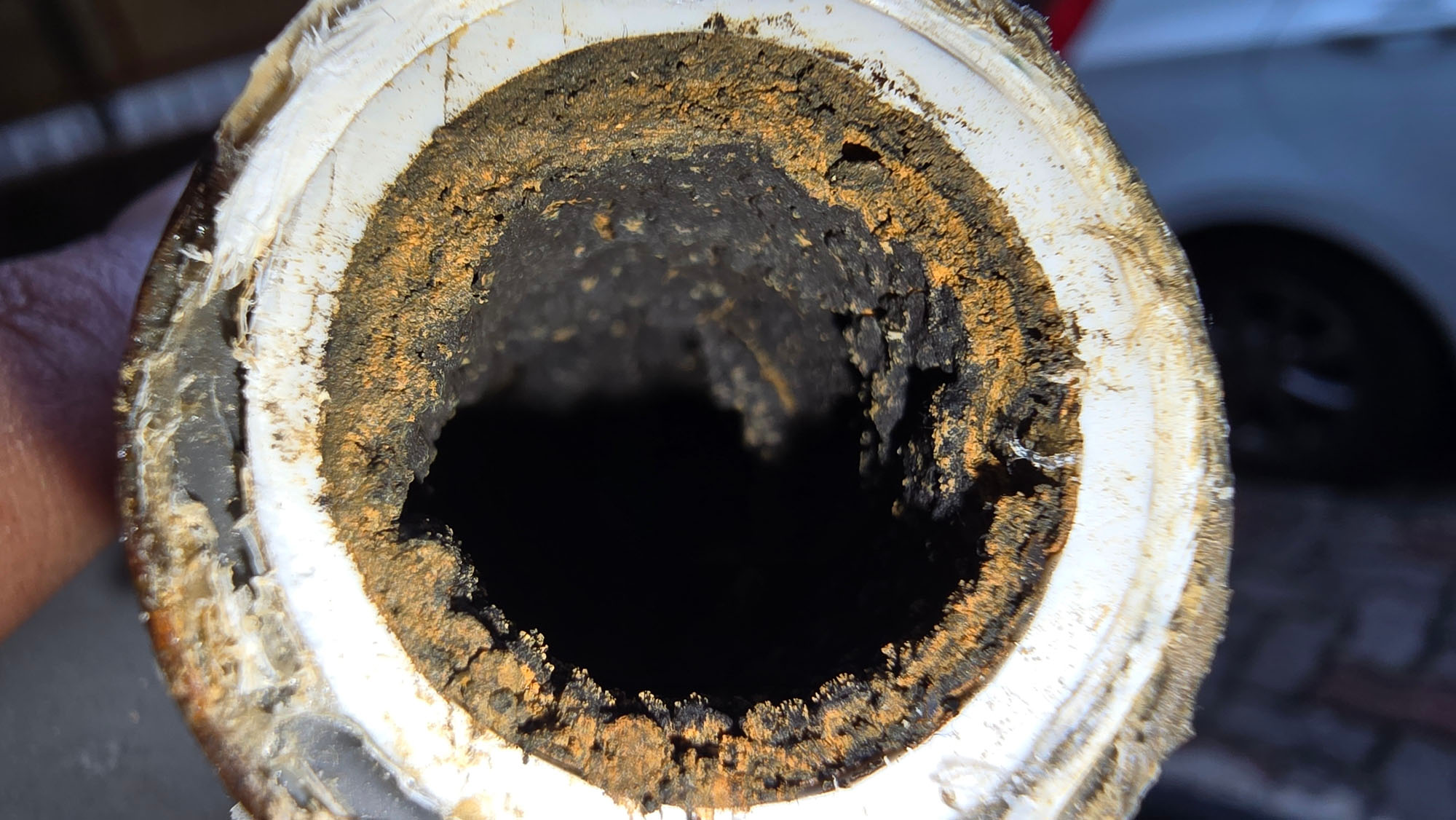 Bio Film in Pipe